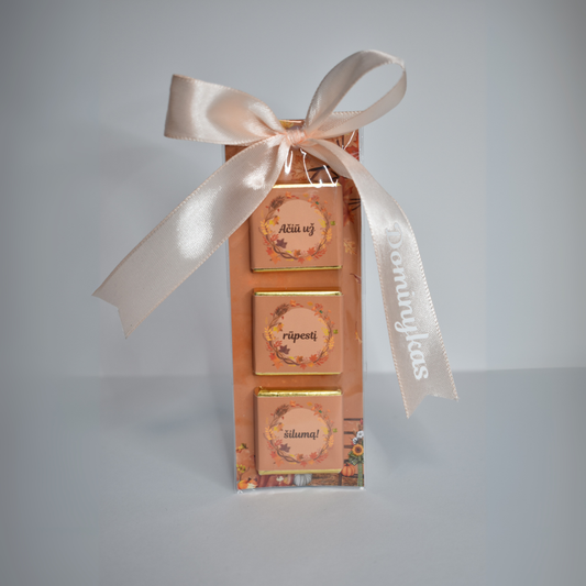 Mini atvirutė RUDUO