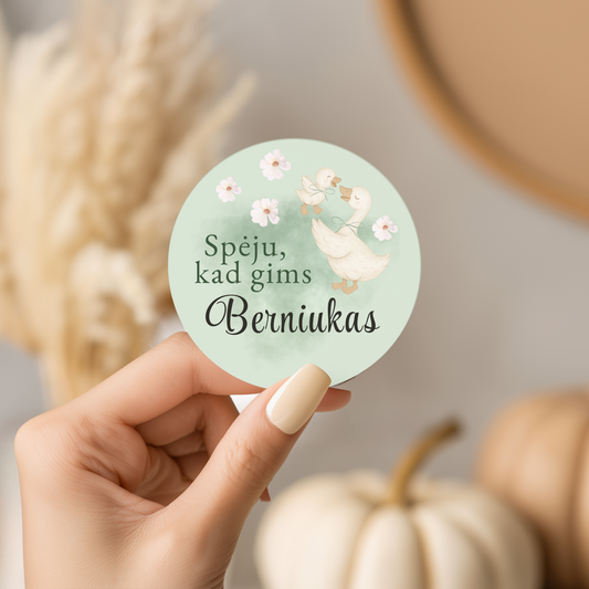 Baby Shower žaidimai, lyties atskleidimo šventė, berniukas ar mergaitė, spėjimų lipdukai, šventinė atributika, kūdikio sutiktuvių dekoras, pramogos svečiams, personalizuoti lipdukai