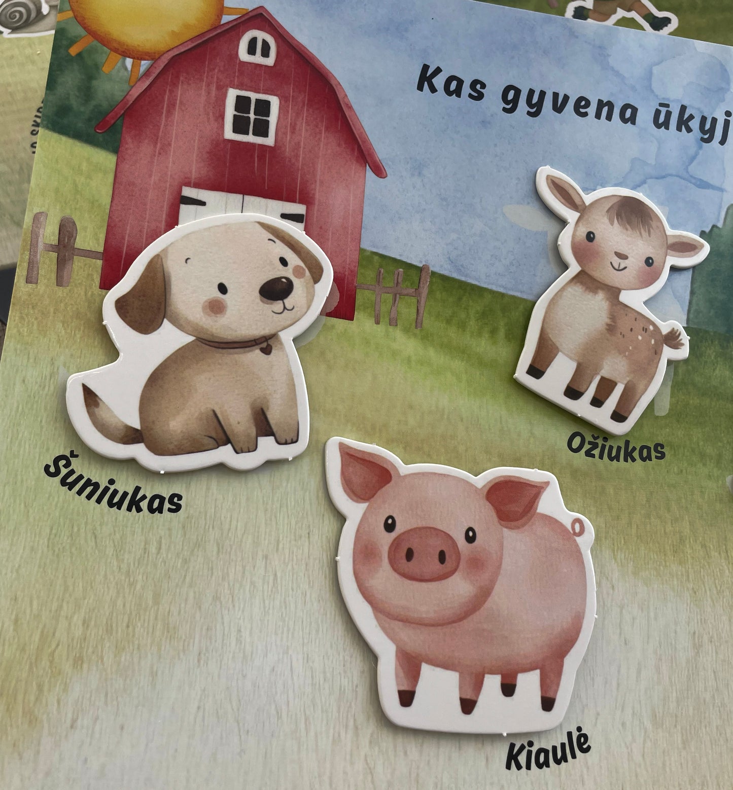 Lavinamoji knygelė, veiklos knygelė, daugkartiniai lipdukai, edukaciniai žaislai, spalvų rūšiavimas, gyvūnų pažinimas, ryto vakaro rutina, dovana vaikui, velcro žaidimai